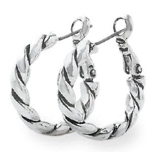 PD-10 Premier Designs Jewelry Chelsea Small Hoop Earrings in Silver